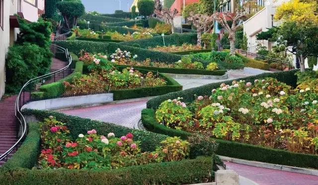 吃货｜旧金山餐馆周来袭，赶紧去湾区感受下