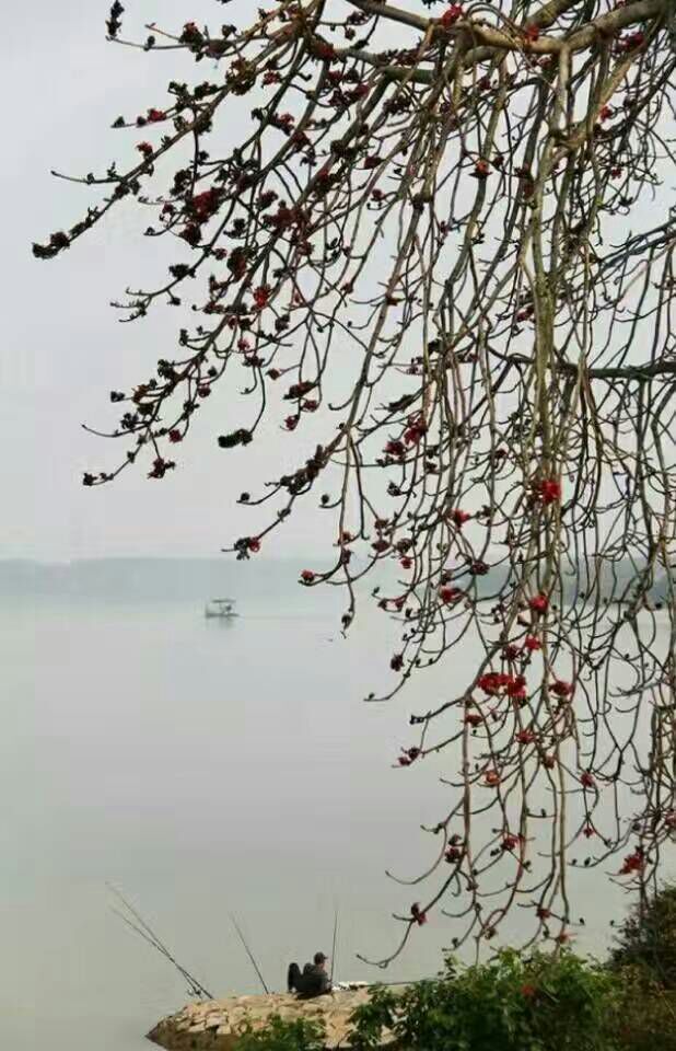 给摄影爱好者的十二条摄影经验,看完这组摄影作品你还淡定吗