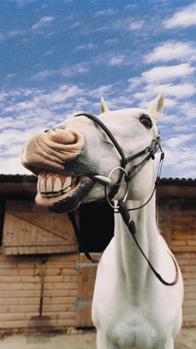 珍藏50张绝美墙纸,花了2000个小时选出十张壁纸