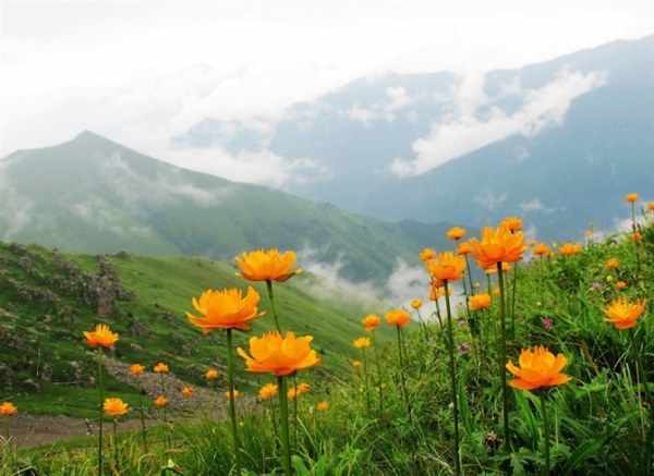 张家口旅游小五台山离市区远吗,张家口小五台山全景图