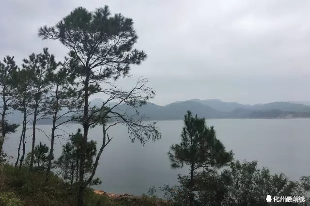 可爱的家乡电白,茂名有可爱的家乡吗