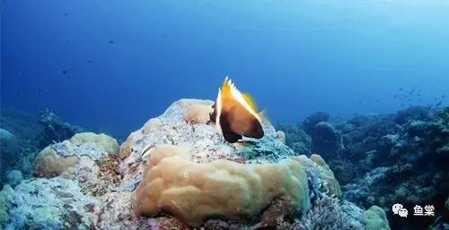 年关将近大家出门一定要注意安全,年关将近大家出门一定注意安全