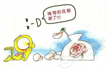 吐槽一下物流,关于物流行业几个怪现象的吐槽