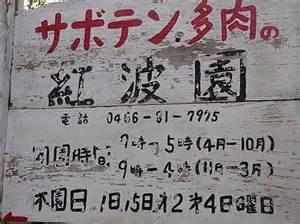 鏃ユ湰鐜夐湶澶氳倝澶ф,浠庡鑲夊ぇ妫氶噷璺戝嚭鏉ョ殑澶氳倝