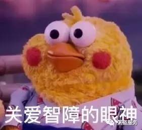 逛手帐集市,一起逛手帐集市