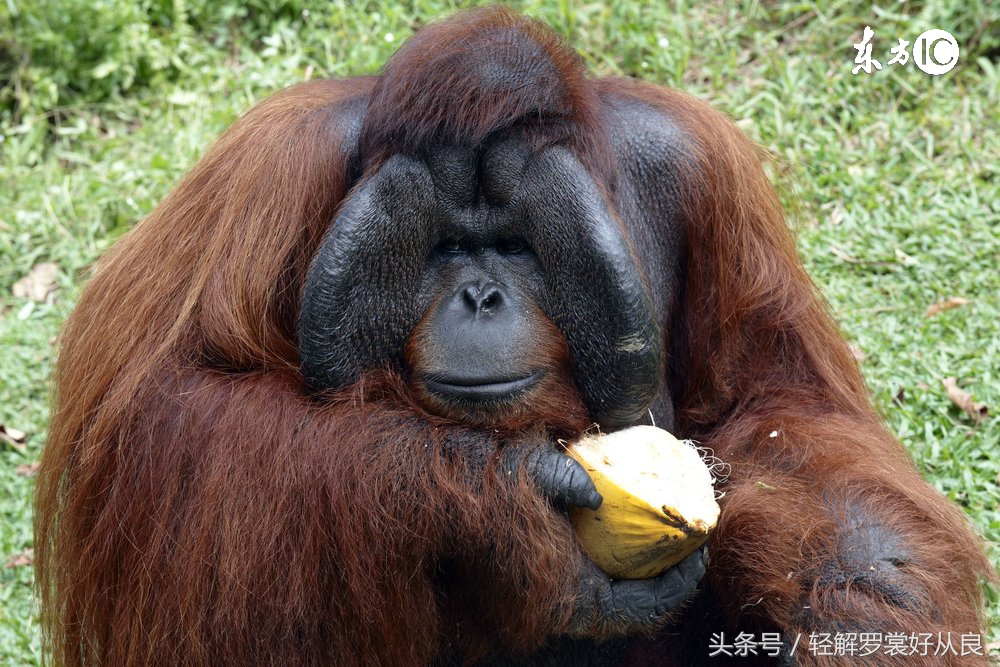 这些冷知识你可能永远不知道,这些冷知识你绝对不知道