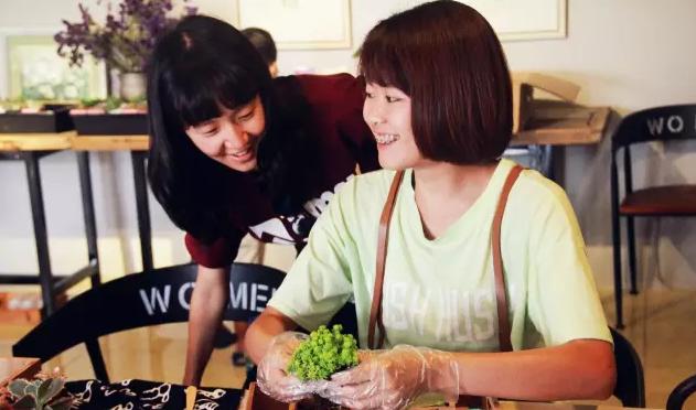 多肉新手必踩十大坑,多肉新手入坑教学视频