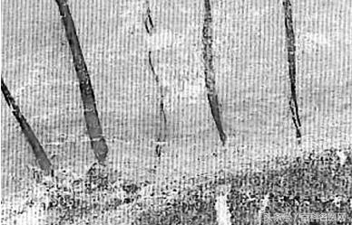 爱美的你不要熬夜早睡早起,爱美的你不要动不动就留泪