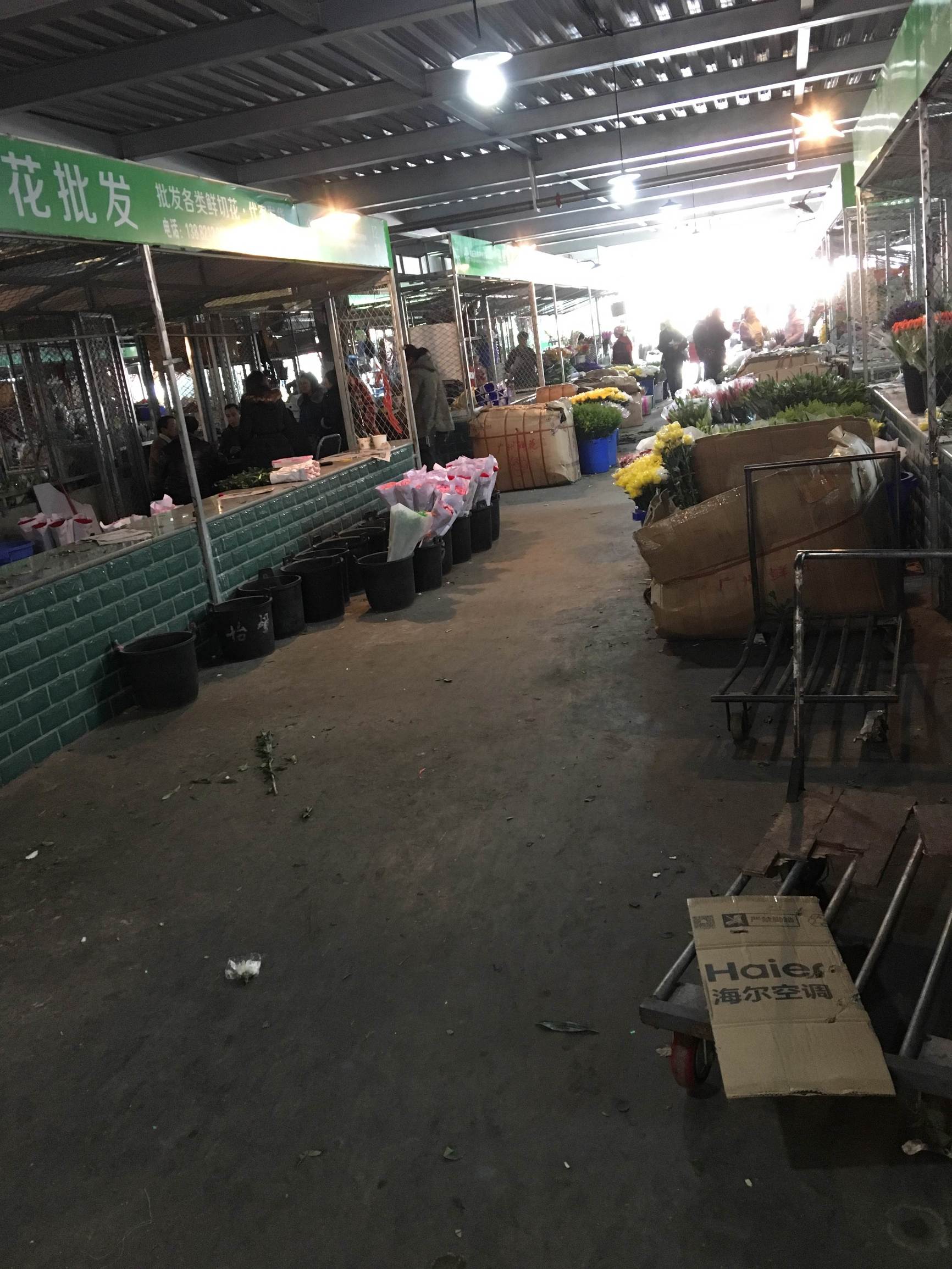 年宵花市探“鲜”记（一）之孤独的花大姐