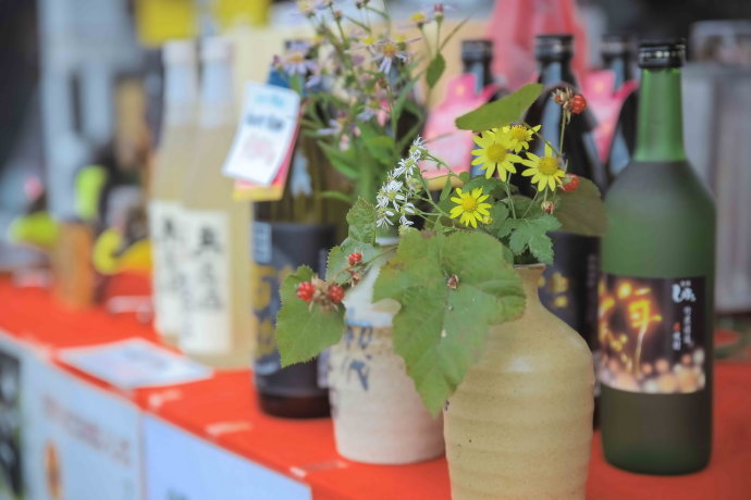 初冬九州温泉旅游攻略,与闺蜜冬日游山庄