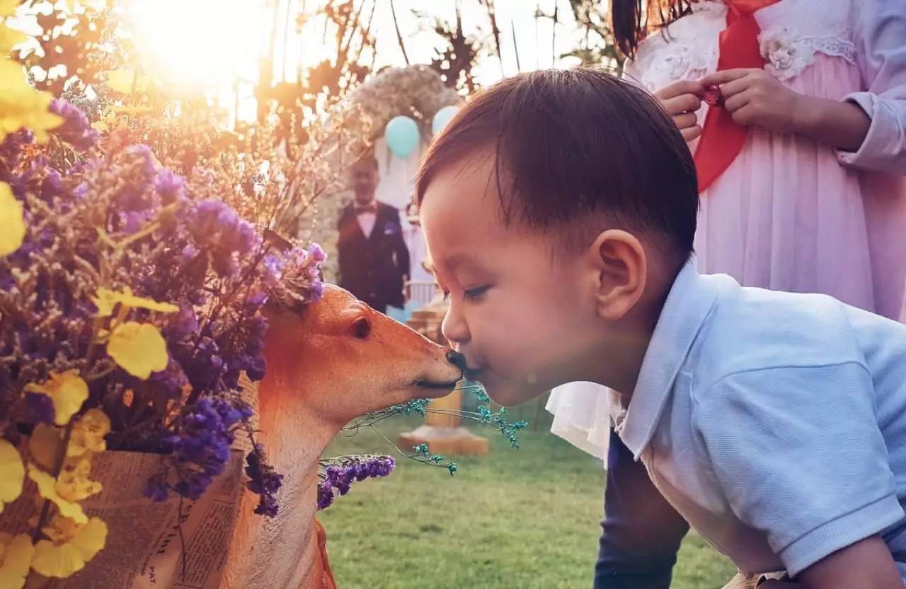 入门摄影卡片机推荐,街拍卡片机推荐