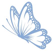 五禽戏健身经络操,养生功法五禽戏