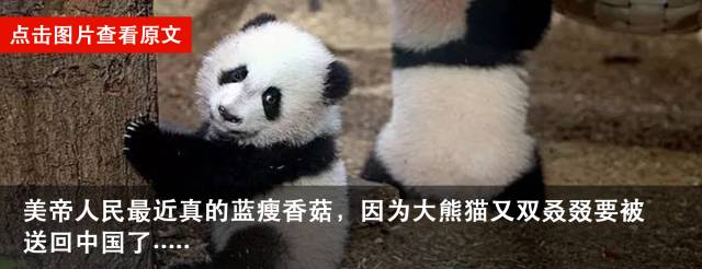 为了巴结中国消费者，这些国际大牌的鸡年新设计是Real辣眼睛……