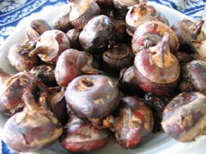 广东过年送礼特产推荐,过年送礼佛山特产