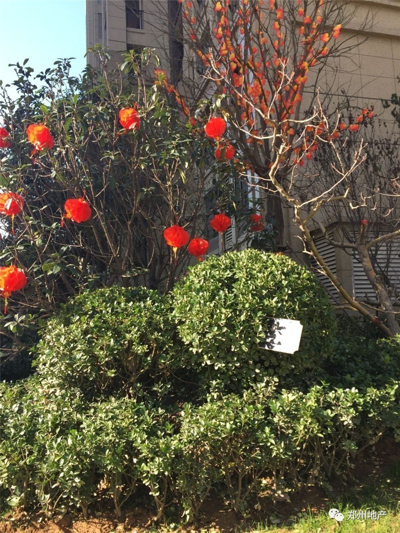 中海验房视频,中海交房验房视频