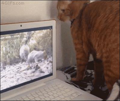 信息快报｜第281期（今日共18条）好想使劲抓着雾霾脖领子，问问他我的快递呢？