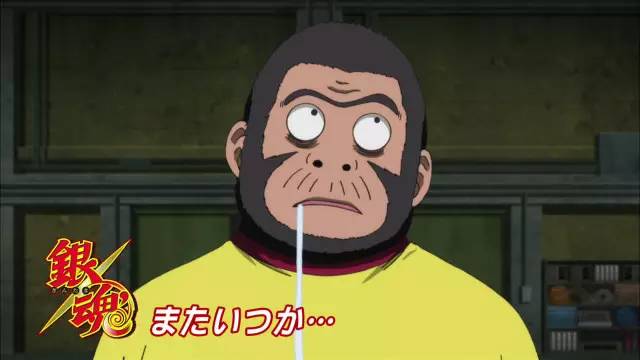 猴年说猴中猴的特点,猴年说猴