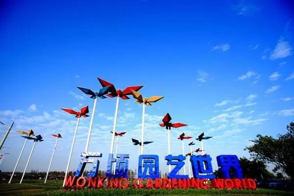 就在今日,百万鲜花盛放!南海这个“花花世界”等你来赏!