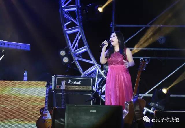 新疆石河子最新事件,石河子近期新闻事件