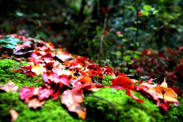 川西美丽地方,川西最迷人的地方