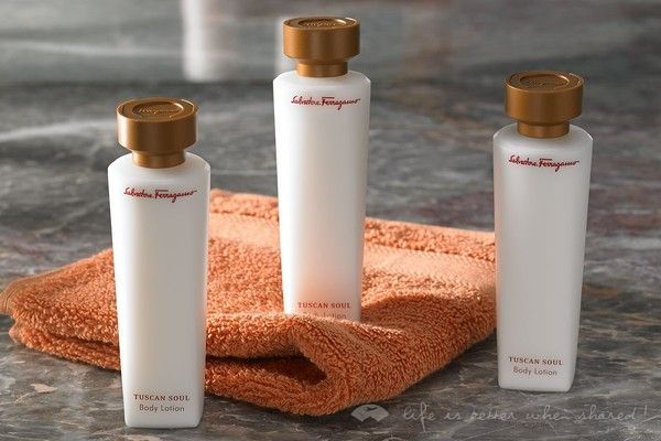 十大高端酒店用品排行榜 (高端酒店都用什么牌子的洗浴用品)