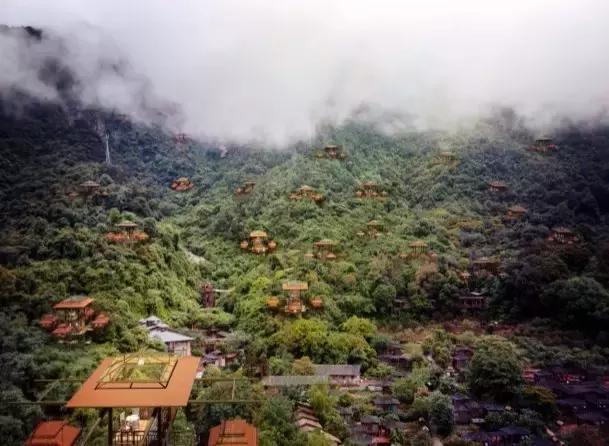 惊！艳！清远这片森林惊现空中吊屋！来过你再也不想回家