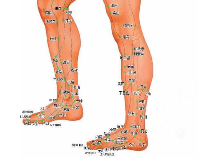 字里藏医书籍,字里藏医中医知识