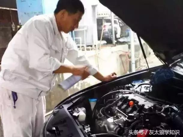 老鼠洞里挖出来花生,老鼠偷花生被发现