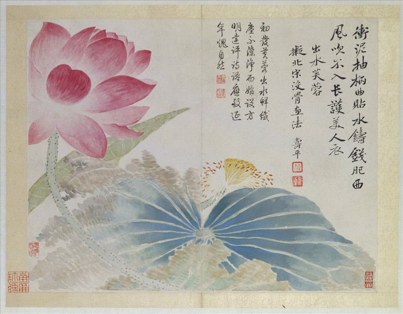 清恽寿平山水花鸟图册,恽寿平没骨花鸟画全集