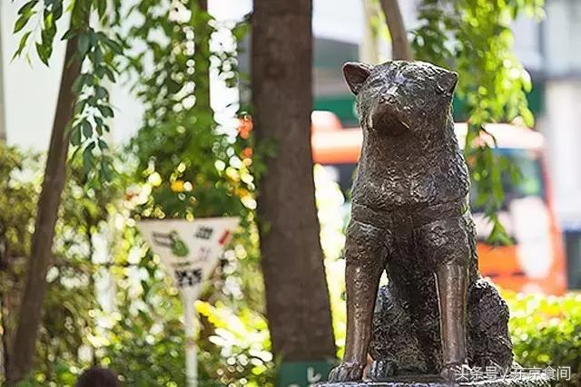 鏃ユ湰娼墝璐墿蹇呬拱娓呭崟,鏃ユ湰鏃跺皻璐墿蹇呬拱娓呭崟