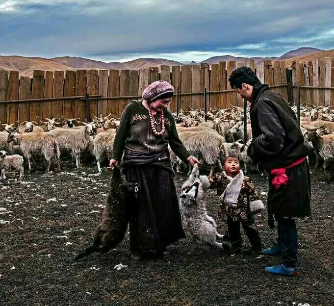 看完这些摄影作品点评，你的摄影技能会有大幅提升