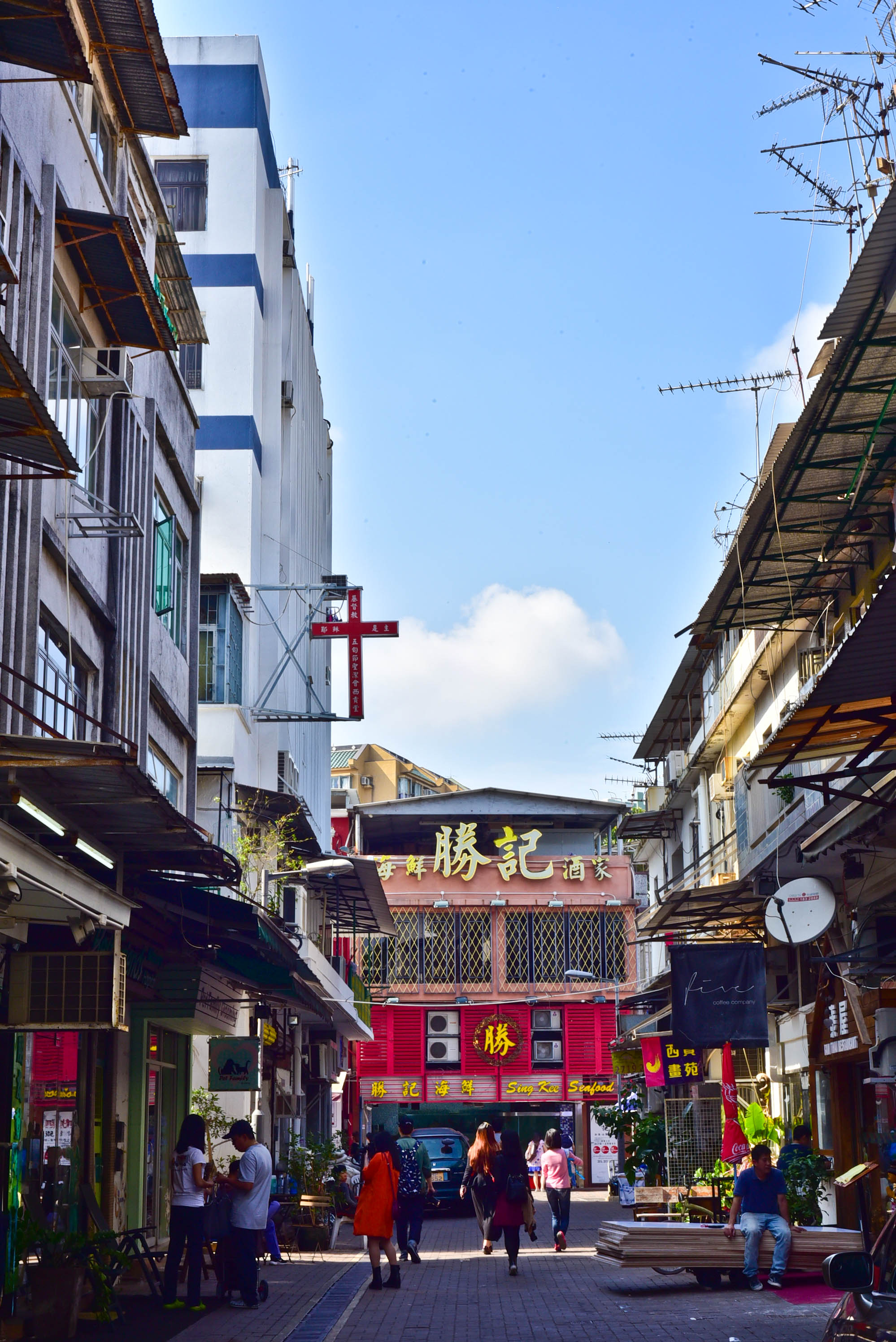 兔子游云南,兔子游老君山视频