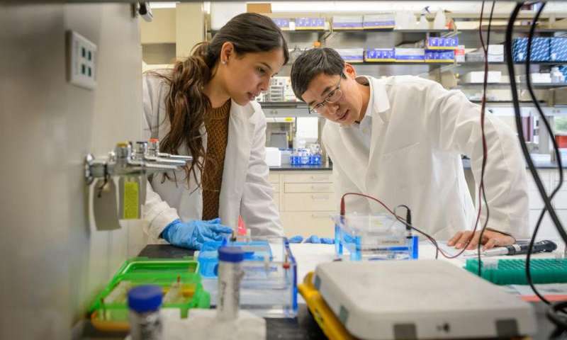 科学家研究癌症疫苗,结肠癌疫苗研制最新通报