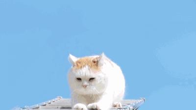 磁器口有必要去游玩吗,磁器口古镇有必要去么