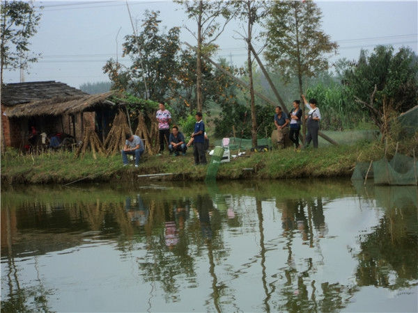鱼塘养鱼基础知识大全,鱼塘零基础养鱼新手入门