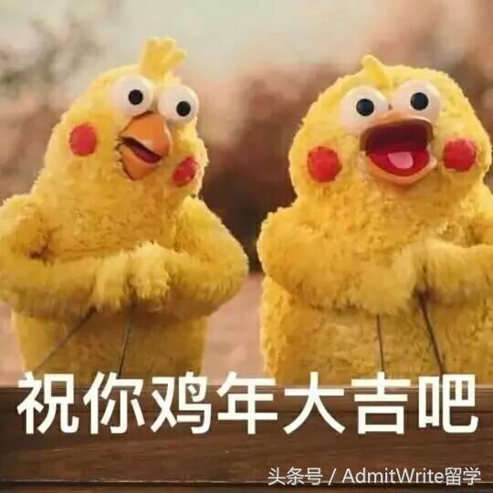 一篇文章带你看一部电影,一篇文章带你了解电影