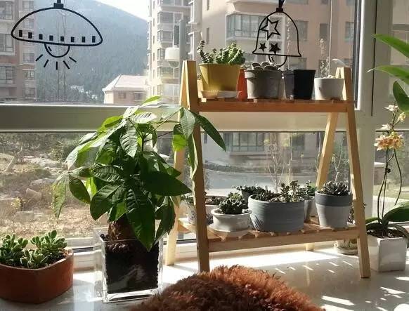 自己动手做花架一层,自己亲自动手做的花架就是好