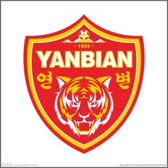 2020中超16支球队队标,中超名称中性化时间