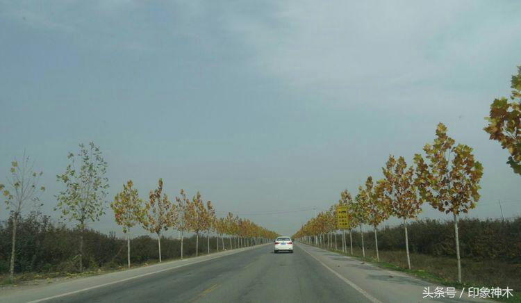 陕北俊俏女子勇闯袁家村大嘴吃四方