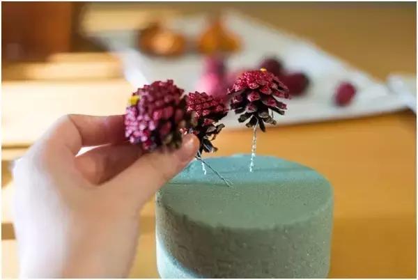 原来松果还可以这么美,原来红杉树也可以很美