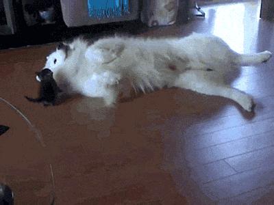 当你交往了一个非常调皮的女朋友，生活将会变成这样