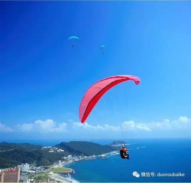 台湾寻肉之旅：小玲带你逛春节的台北花市！