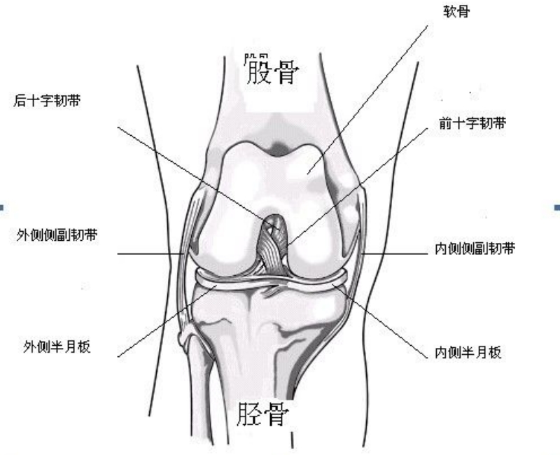 膝盖伤，致命伤？六个战胜病魔的足球员