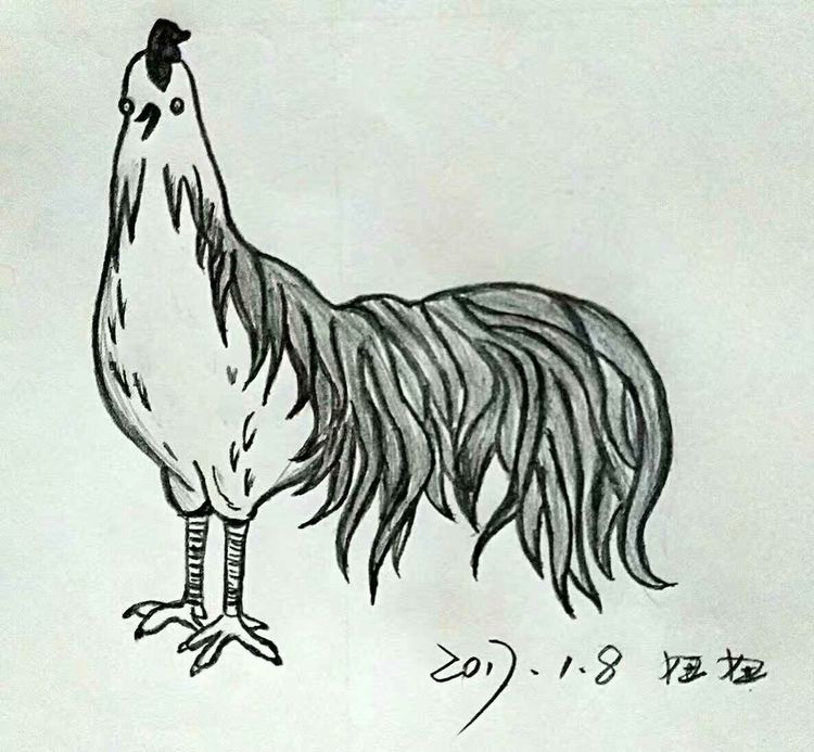 涂鸦的乐趣中班教案反思,涂鸦的乐趣完整版