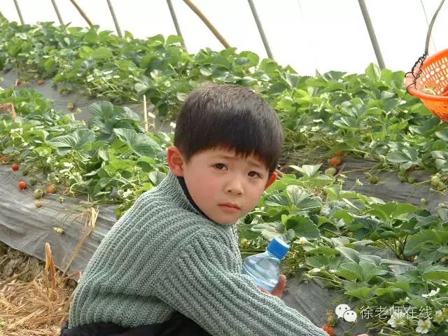 写给儿子的话的唯美句子,写给儿子的话简短温暖祝福