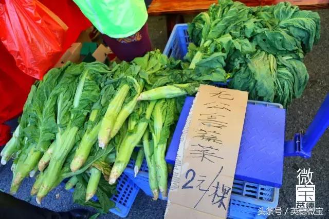 英德美丽的花街,英德花街