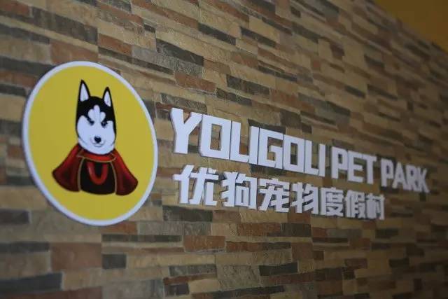 优狗宠物度假寄养房间,春节24小时宠物寄养机构价目表