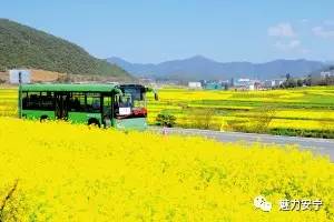 安宁南亚国际陆港,未来安宁太平片区规划