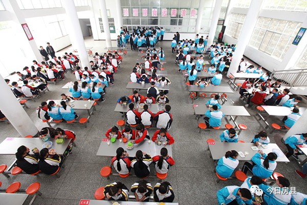 教育我们与孩子共同成长,教育路上我们一起努力