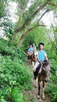 南宁旅游游山玩水景点推荐,南宁周边农家乐景点推荐